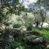DOLMEN CUEVA DEL MONJE